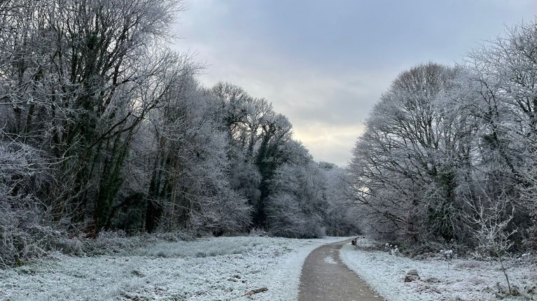 Winter view of Killymanly on the red trail, Florence Court, County Fermanagh